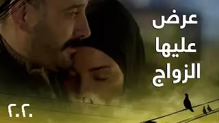 قصي خولي يعرض الزواج على نادين نجيم والصدمة تسيطر عليها