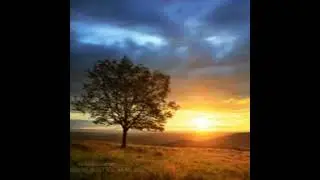 “Discern What Is The Will of God” - Morning by Morning, January 6, 2026