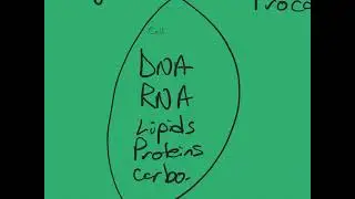 Reviewing cell organelles cell membranes and cell types