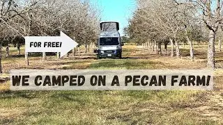 FREE CAMPING with HARVEST HOSTS? (And what is the REAL cost?)