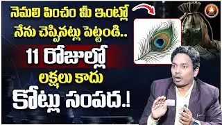 Attract Positive Energy Meditation | Powerful Money Affirmations 2025 | Sheik Anwar | Money Mantra