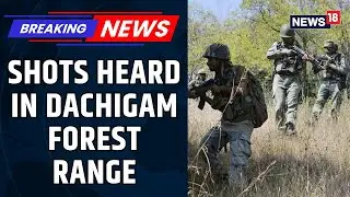 Gunshot Heard In Dachigam Forest Range In Jammu And Kashmir, Search Operations Underway | News18