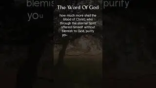 Purification #god #jesus #bible #quotes #shorts #shortvideo #trending #viralvideo #youtubeshorts #yt