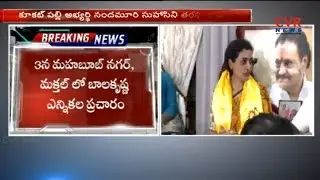 బాలకృష్ణ  ప్రచారం : TDP MLA Balakrishna Election Campaign Schedule Finalised in Telangana | CVR News