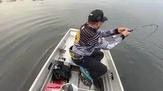 Toman on ul!! Braidmaster 6lb😆
