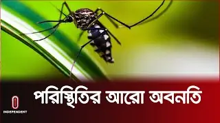 দ্রুত বাড়ছে ডেঙ্গু আক্রান্তের সংখ্যা | #Dengue Situation |Independent TV