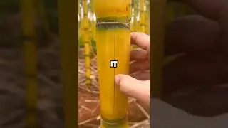 Мой ученик создал тренд на TikTok. #RedditStory #ViralReddit #TrendingNow #StoryTime #MustWatch