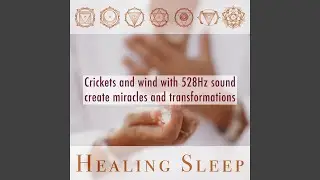 Build Another World - 528Hz