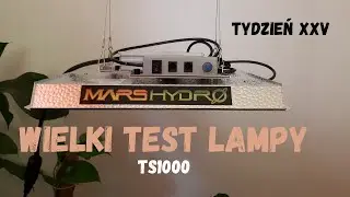 Wielki test lampy TS1000 tydzień XXV