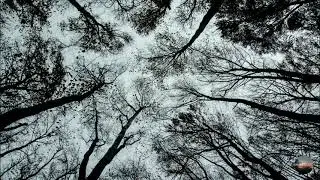 Entropy (Post-rock / Post-metal / Instrumental)