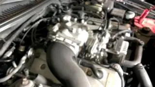01 mustang cobra 32v v8