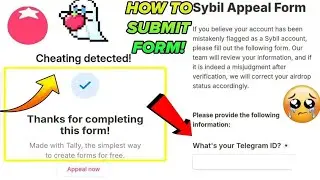 How To Appeal Tomarket Cheating Detected Tomarket | Cheating Detected Problem Tomarket Airdrop