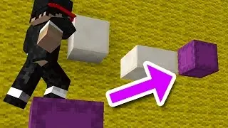Minecraft: SHULKER BOX CHALLENGE