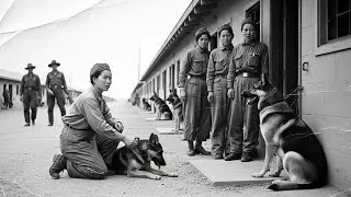 Japanese POW Woman Helped a Wounded Camp Hound &mdash; Next Day The Entire Pack Guarded Her Barracks