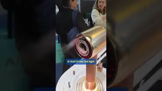 The 