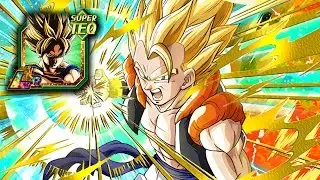 LR GOKU SHOWCASE! MONO TEQ vs SUPER GOGETA! Dragon Ball Z Dokkan Battle!