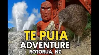Exploring Te Puia: Geysers, Māori Culture & Kiwi Birds in Rotorua