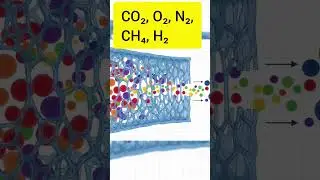 How Gas Membrane Separation Works | Complete Plant Working Explained&rdquo;Permeate vs Retentate&rdquo; part-1