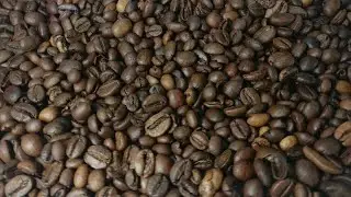 Falling and rotation roasted coffee beans in slow motion Stock Video