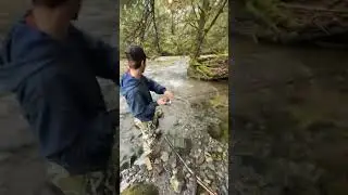 Salmon fishing 