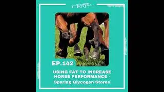 Ep. 142 | USING FAT TO INCREASE HORSE PERFORMANCE - Sparing Glycogen Stores