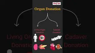 Organ Donation in India