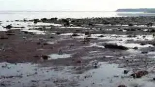 Bay of Fundy ocean floor low tide panoramic