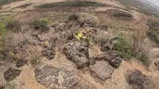 Sunset Point Rest Area 🚛 Black Canyon City, AZ | Walking Tour for Truckers