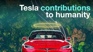 3 Reasons Tesla Claims to Save the Environment (Are They LEGIT?)