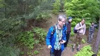 H&auml;ngender Stein Unterkirchbach