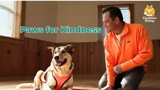 LIVE || Four Legged Kindness (Spotlight on Therapy Dogs International)