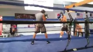 Professional Sparring & Training