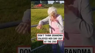 Llamas, spitting on People