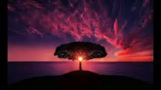 Peruvian Woods - Dave Osorio   &middot; Free Copyright-safe Music