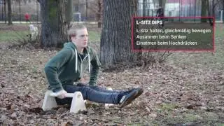 L-Sitz Dips - Minibarren