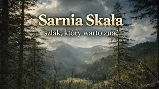 Czarnym szlakiem w stronę Sarniej Skały…