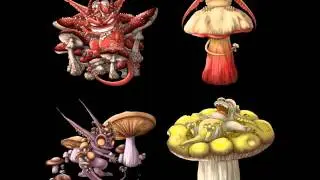 Svartby - Mushroom Rings