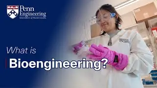 What is Bioengineering? | Penn Engineering