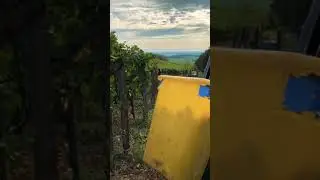 Ruhlmann-Schutz Harvest 2020   Cr&eacute;mant Ros&eacute;