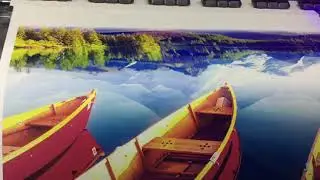 IMG 3892