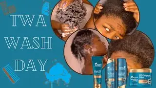 WATCH ME |  TWA WASH DAY | HEAD & SHOULDERS ROYAL OILS MOISTURE BOOST