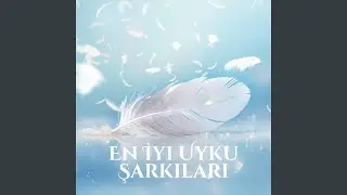 Doğanın Sesi: Sakin Atmosfer