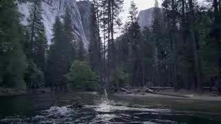 Early Morning by the Merced River- Yosemite
