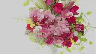 Sylvia 池田聡