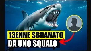 Scappa di nascosto da casa, 13enne sbranato da uno squalo
