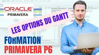 Fromation PRIMAVERA P6: Les options des barres du GANTT