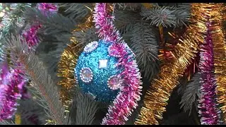 Традиций каре не унеск - 27/12/25