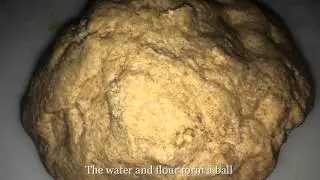 Pan Integral con Tomate (whole wheat flat bread)