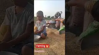 🌿 देवर भाभी ने मिलकर किया खेत का काम | बच्चों ने दिया साथ | Village Life Vlog #shorts
