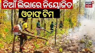 ନିଆଁ ଲିଭାରେ ନିୟୋଜିତ ଓଡ୍ରାଫ୍&zwnj; ଟିମ୍&zwnj;|ODRAF teams engaged to Douse Forest Fires in similipal |Odia News